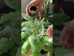 Naturalny i łatwo wchłaniany koncentrat fermentacji drożdży JM-Y1