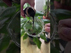 Naturalny organiczny nawoz koncentrat fermentacyjny bogaty w minerały melasy