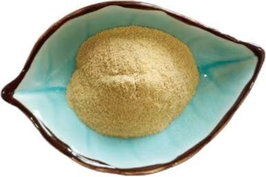 Fully Soluble Yeast Cell Wall Promotes Photosynthesis Foliar Spraying Biologically Active Fertilizer