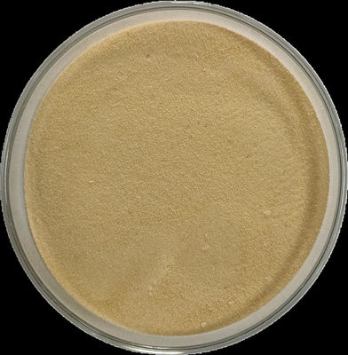Concentrated Amino Acid Powder Fertilizer Promotes Growth for Drop Irrigation