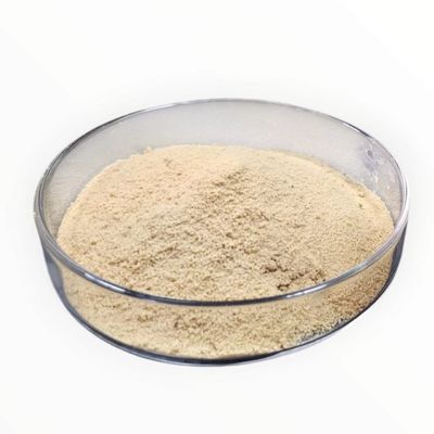 Plant Nutrient Additives High Content Amino Acid Powder Price AS-5