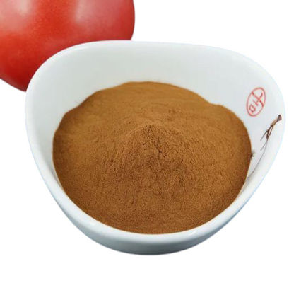Molasses Powder Strengthen Root System Fulvic Acid Potassium Organic Fertilizer for Agriculture 